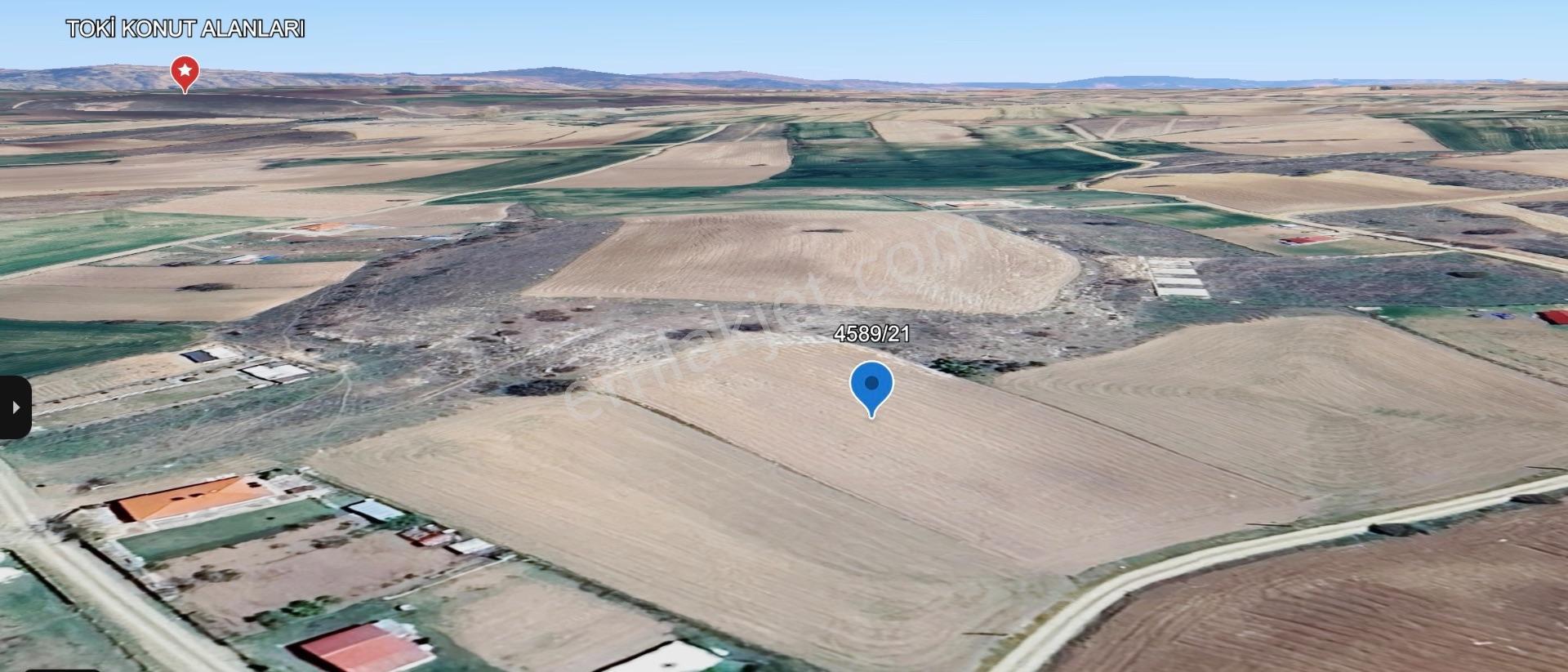 Şen Emlak’tan Satılık Köyiçi 4.387m2 Tarla - Görsel 4