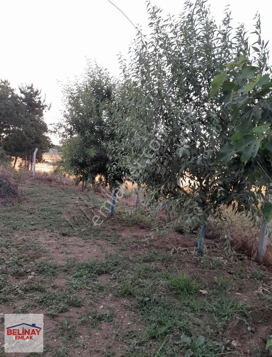 Bilecik Gülümbede Geleceğinize Sağlam Bir Temel Atın - Görsel 11