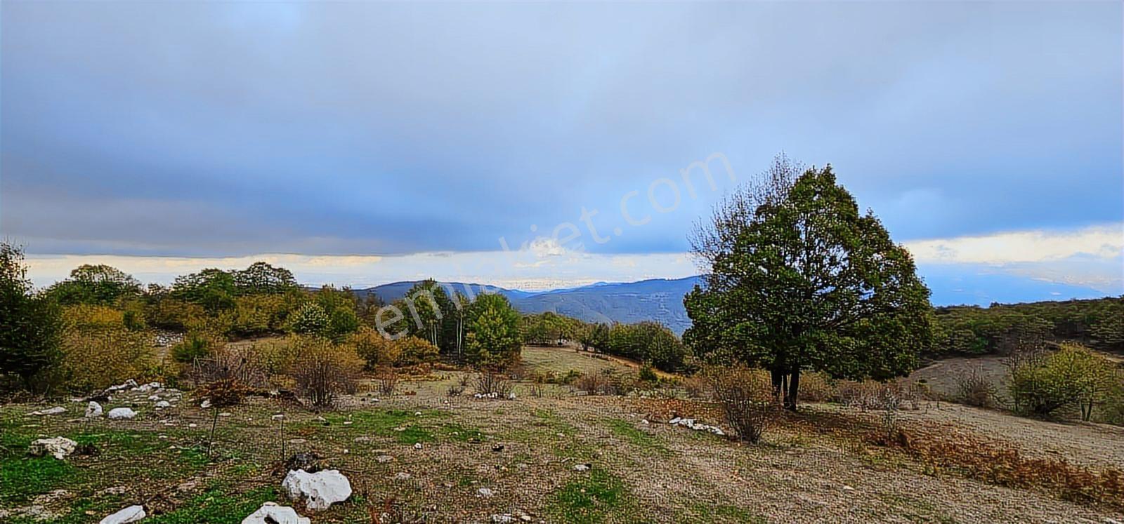 Nilüfer Kadriye 1/3 Hisse 853 M2 Ayrı Tapulu - Görsel 8