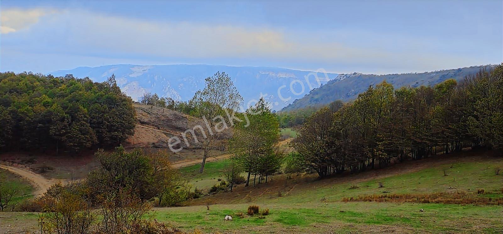 Nilüfer Kadriye 1/3 Hisse 853 M2 Ayrı Tapulu - Görsel 9