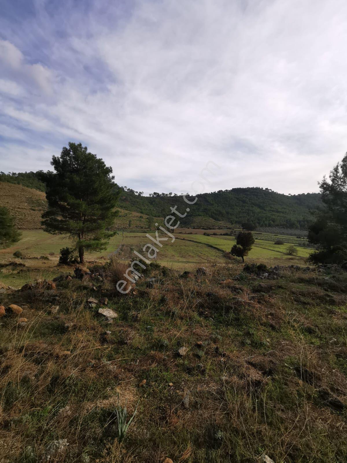 Goldhouse Dan Satılık Tarla Yatırımlık Gökben De 2826 M2 - Görsel 3