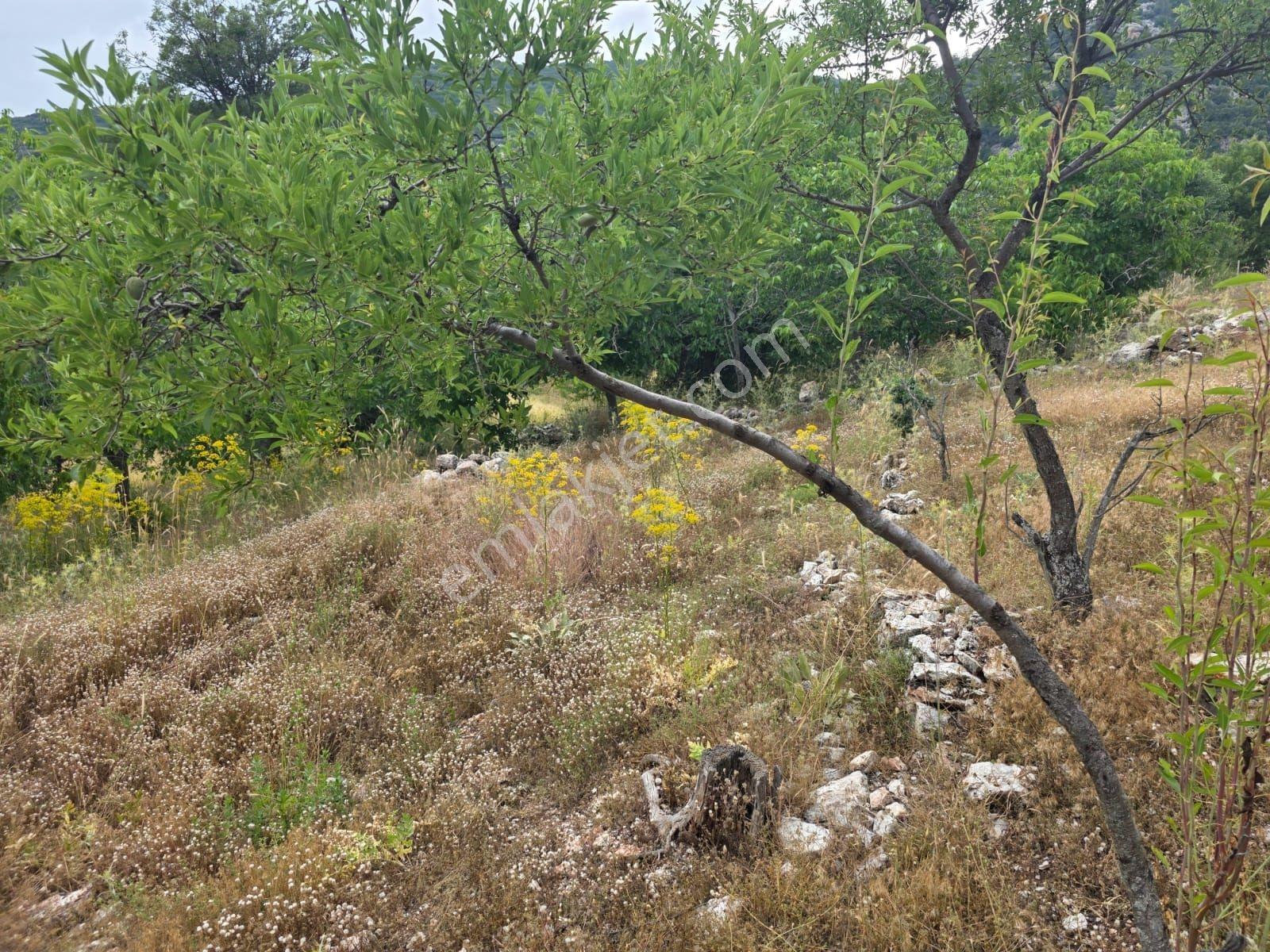 Acil Satılık Seydikemer Yayla Kınıkta Köyiçi İmarlı Kupon Arazi! - Görsel 8