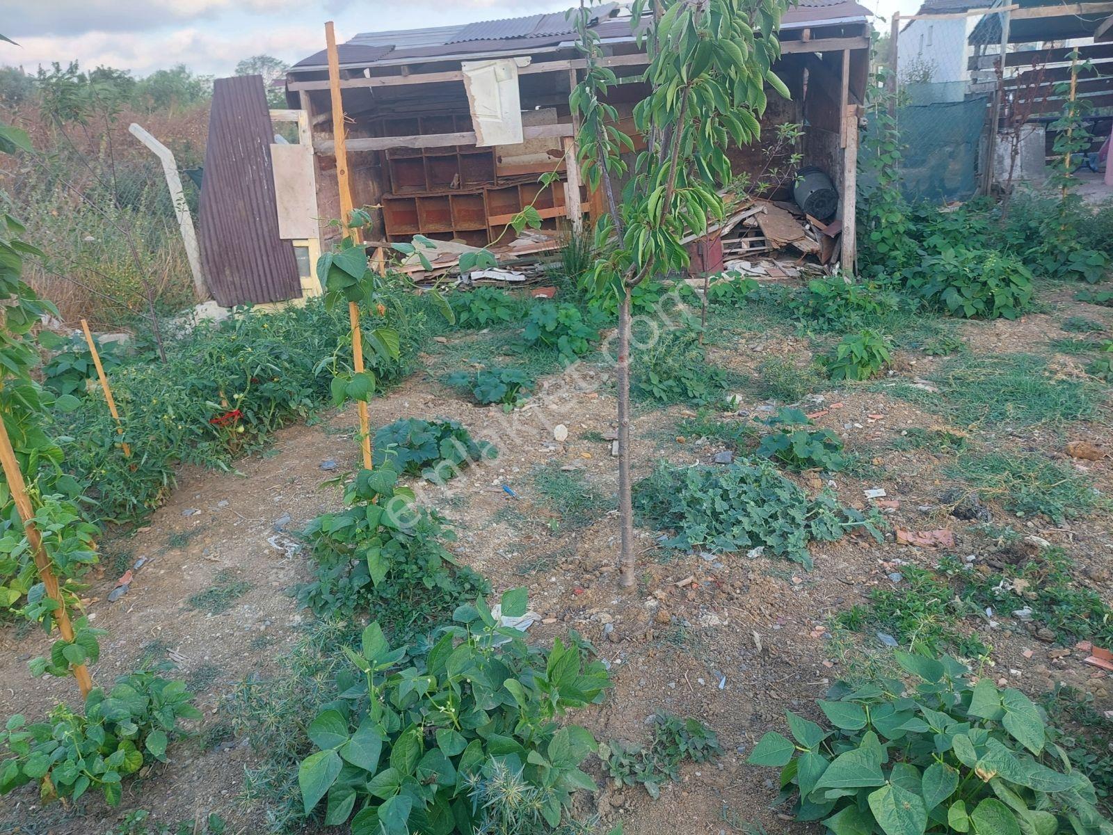 Arnavutköy Kiralık Müstakil Ev 1000 M2 Arsa İçinde - Görsel 25