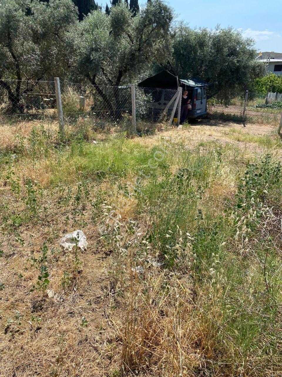 Kemalpaşa Yiğitler'de Satılık 300 M² Arsa - Görsel 8