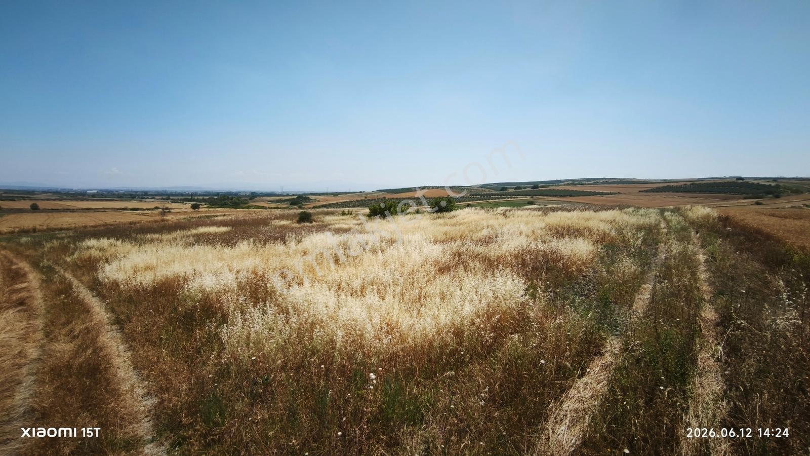 Bursa Karacabey Tophisar'da Satılık 5.550 M² Tarla - Görsel 6