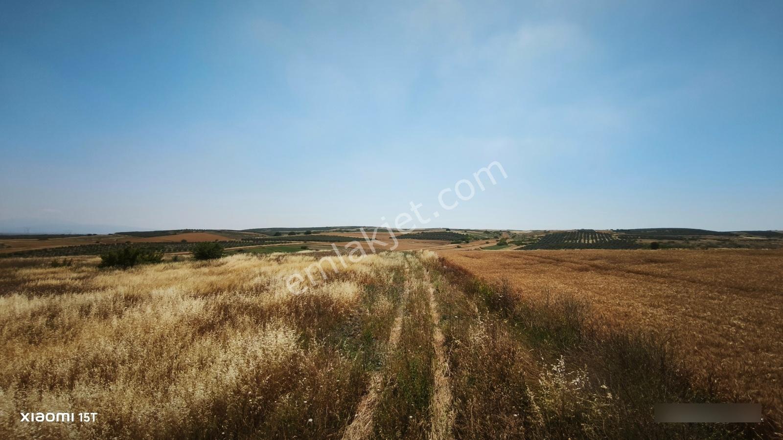 Bursa Karacabey Tophisar'da Satılık 5.550 M² Tarla - Görsel 5