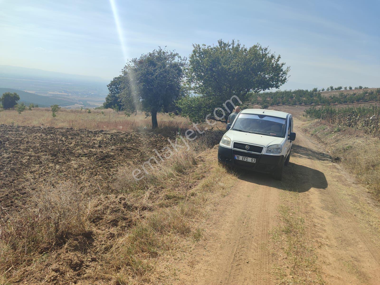 Yenişehir Karacaali De 1.072 M2 Satılık Tarla. - Görsel 2