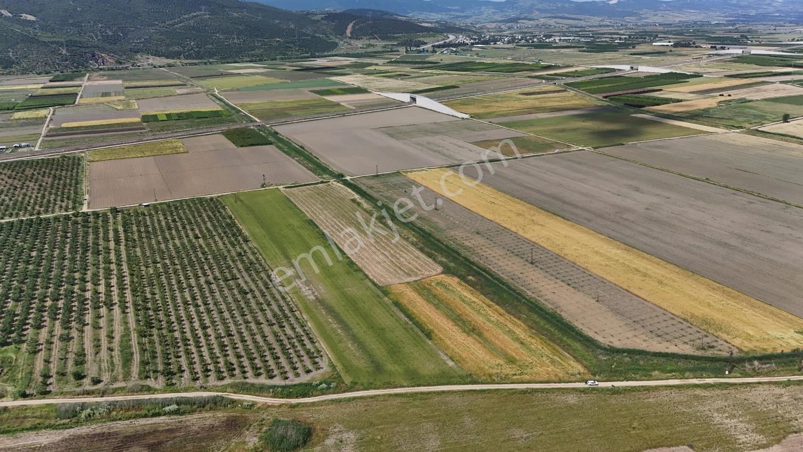 Marmaracık Mh. Elektrik+yol+su 5.604 M2 Müstakil Tapulu Fırsat - Görsel 25