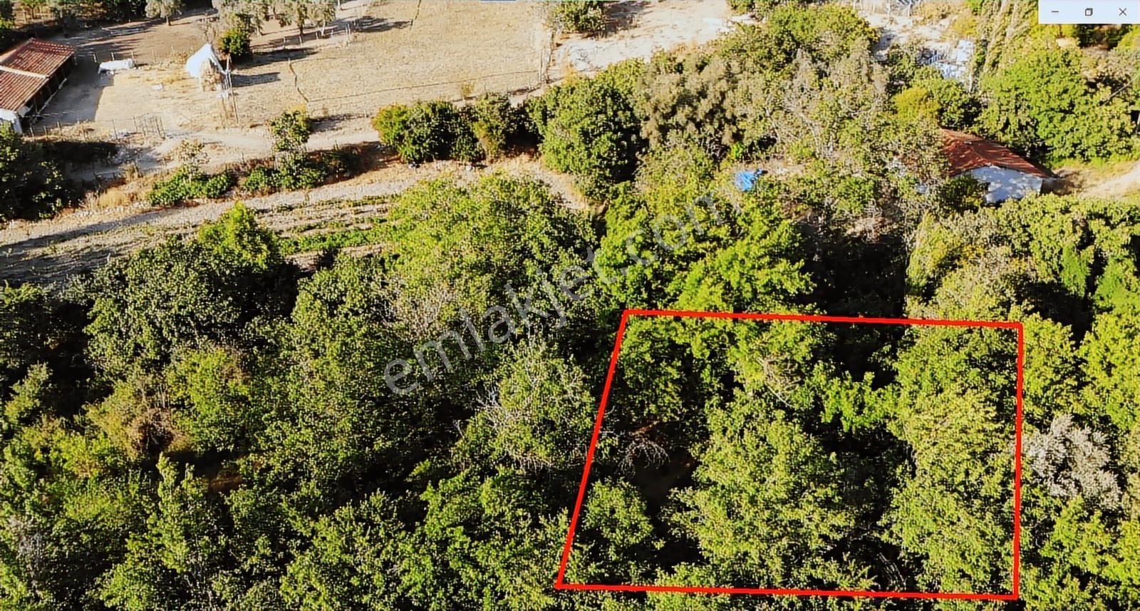 Bilecik Söğüt 352 M2 Yatırımlık Köy İçi Bahçe - Görsel 11