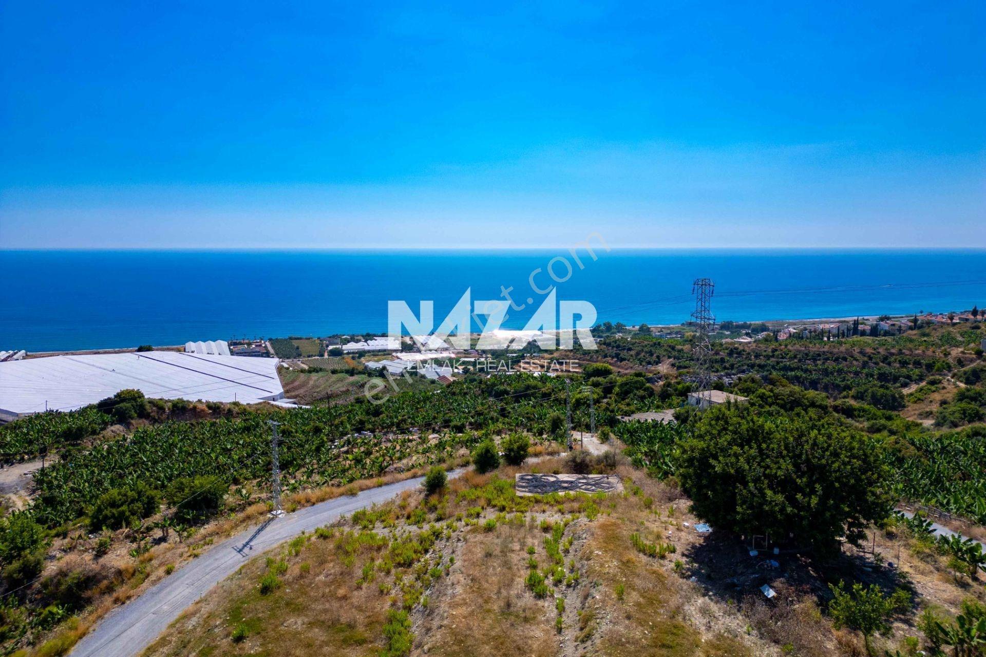 Alanya Yeşilöz’de 572 M² Deniz Manzaralı Tarla - Görsel 8