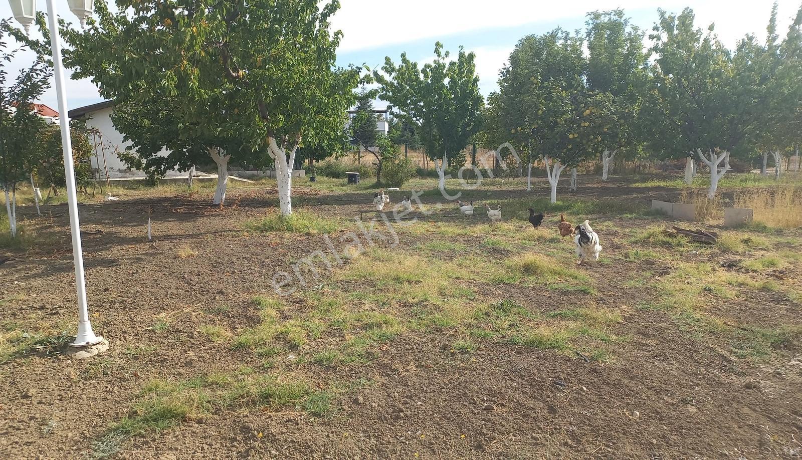 Kargalı Anatolya Sitesinde 2.200m2 Arsa Üzerinde Satılık Villa - Görsel 29