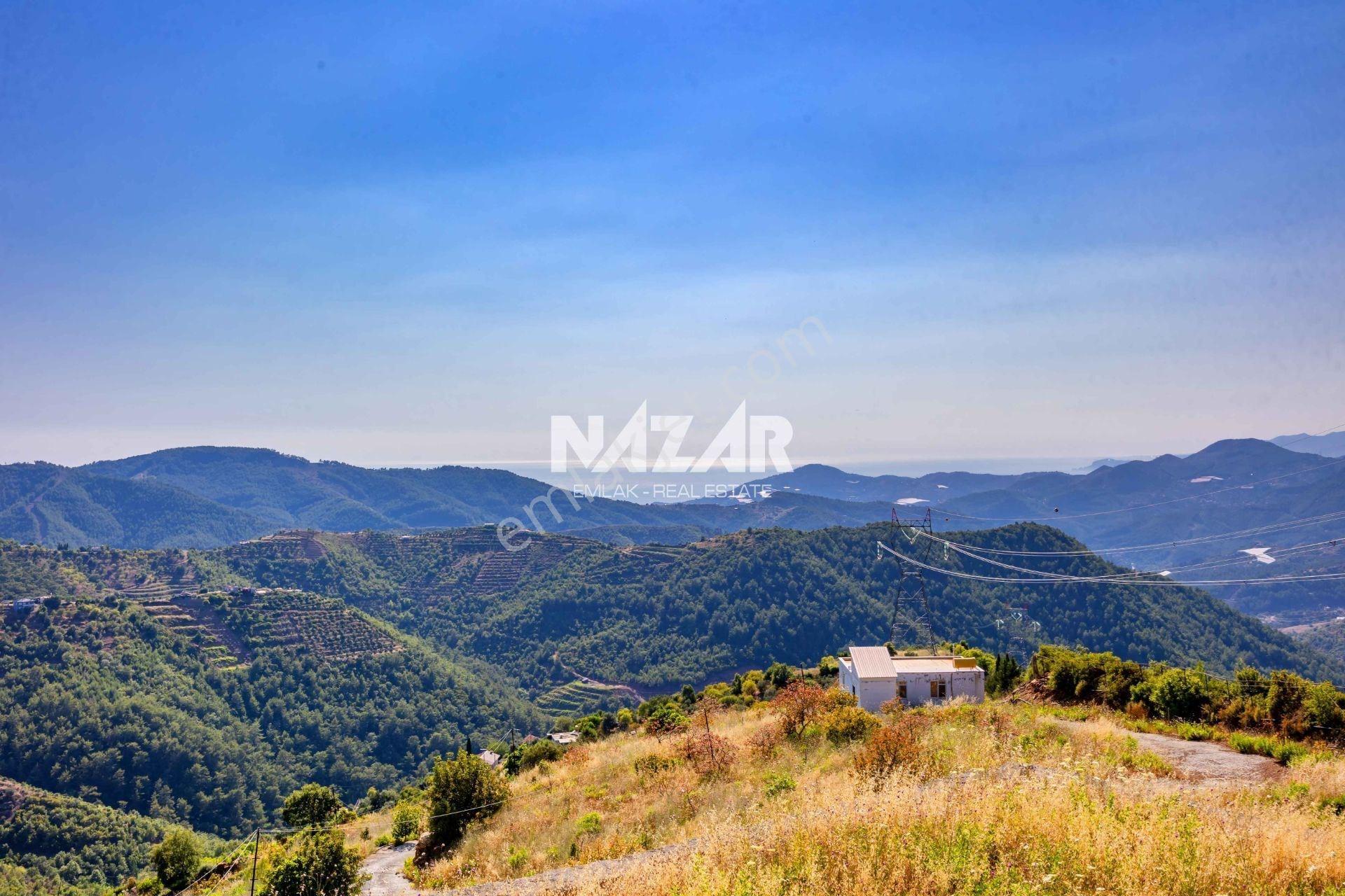 Alanya Çamlıca’da 35.051 M² Tarla / Bahçe Ve 2 Ayrı Ev - Görsel 17