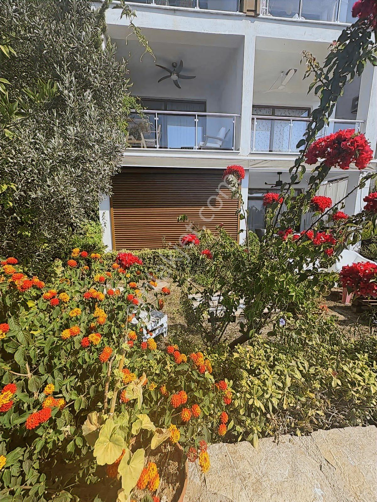 Kıyıkışlacık Zeytinlikuyu İassos Beach Club Tatil Sitesinde - Görsel 11