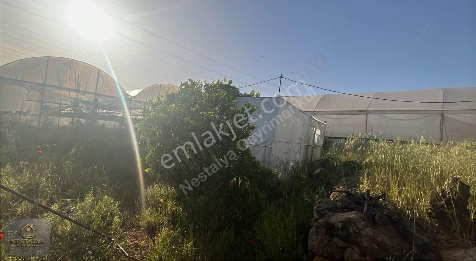 Aksu Çamköy Mah Satılık 4737,19 M2 Sera Ve Evi - Görsel 3