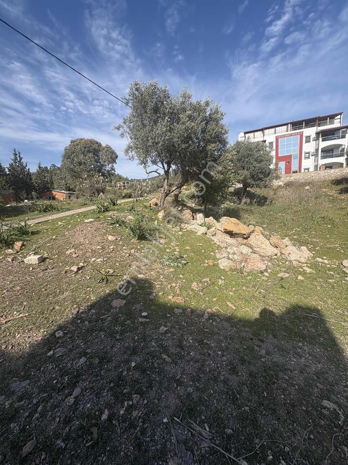 Kıyıkışlacık Zeytinlikuyu Da İmarlı Arsa - Görsel 23