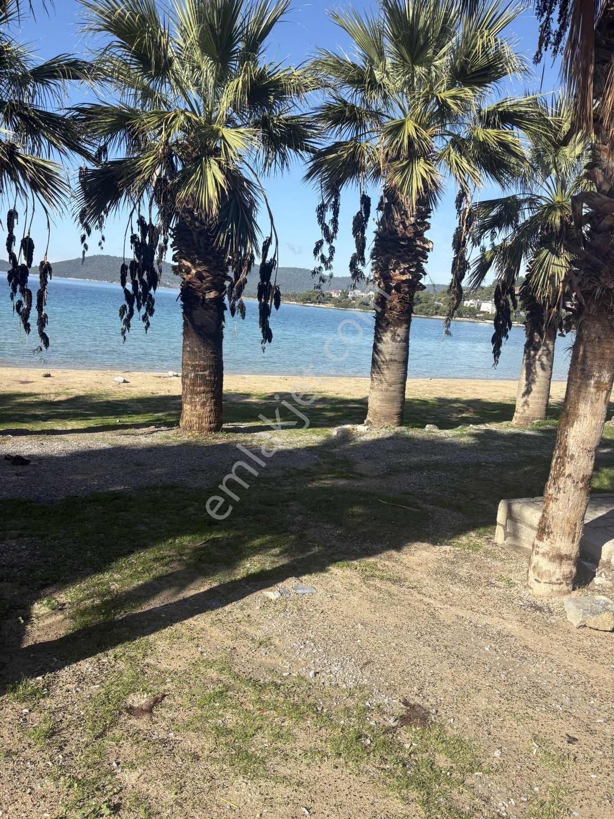 Kıyıkışlacık Zeytinlikuyu Da İmarlı Arsa - Görsel 4