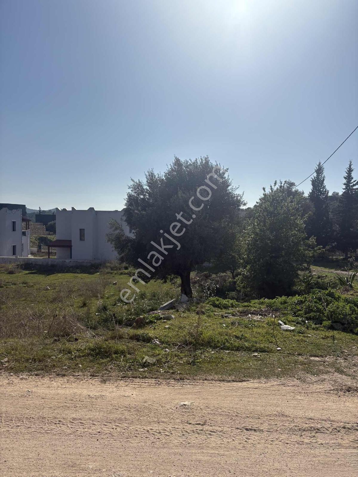 Kıyıkışlacık Zeytinlikuyu Da İmarlı Arsa - Görsel 20