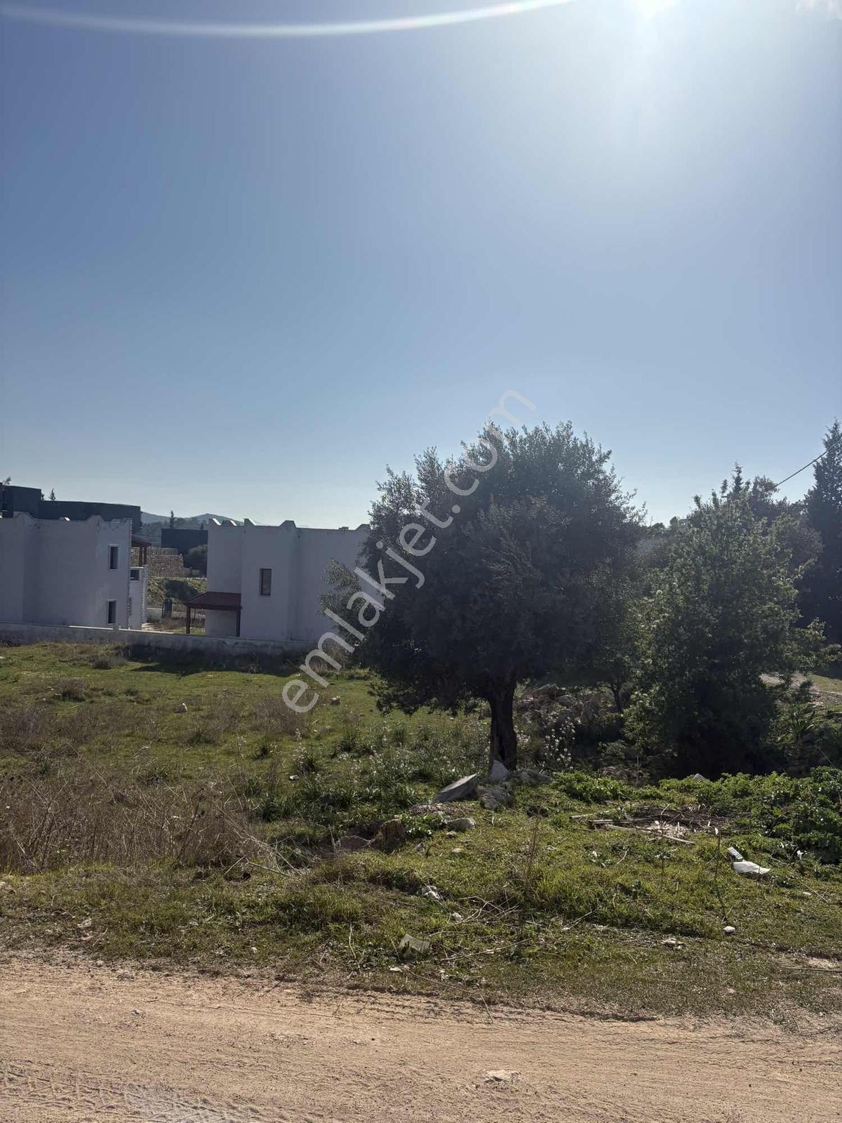 Kıyıkışlacık Zeytinlikuyu Da İmarlı Arsa - Görsel 13
