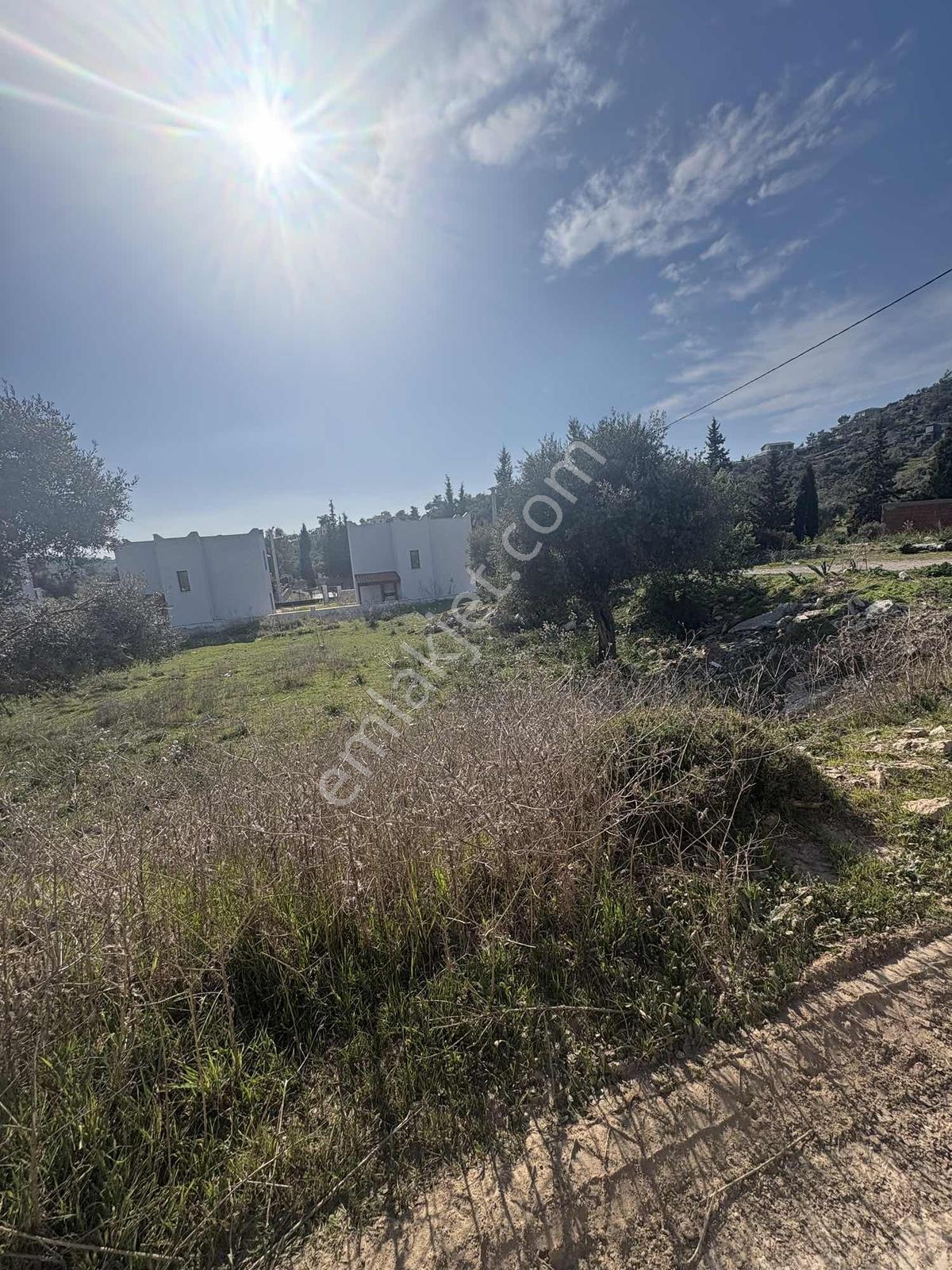 Kıyıkışlacık Zeytinlikuyu Da İmarlı Arsa - Görsel 9