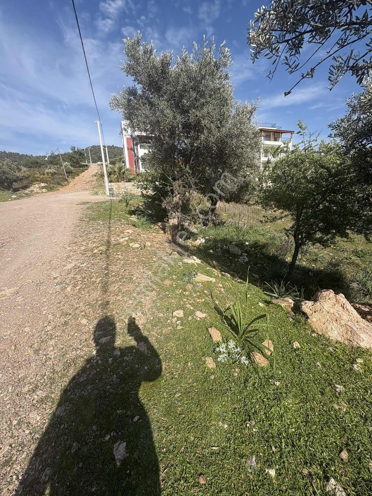 Kıyıkışlacık Zeytinlikuyu Da İmarlı Arsa - Görsel 15