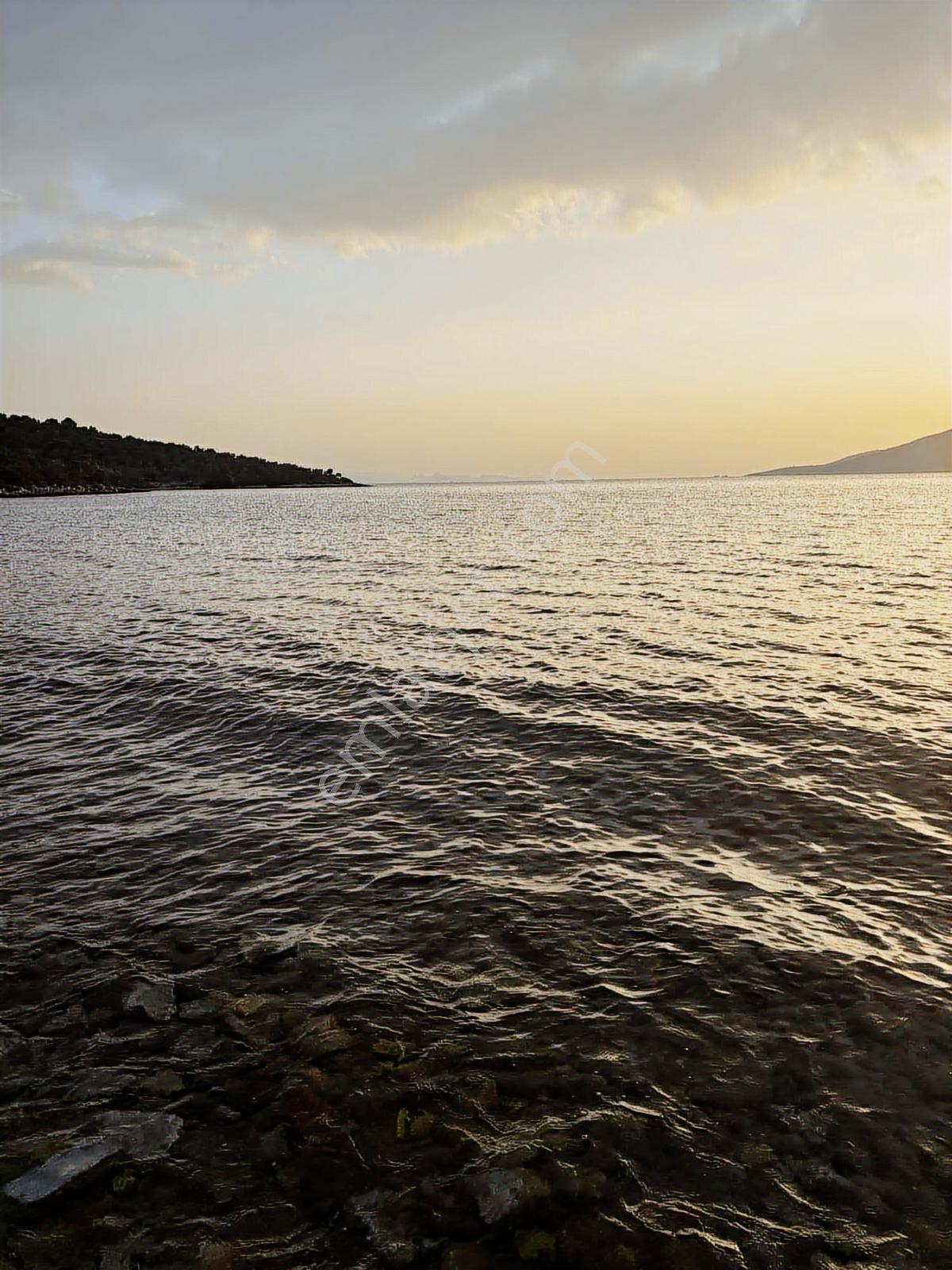 Kıyıkışlacık Zeytinlikuyu Papaz Koyunda Denize 240 Metre - Görsel 13