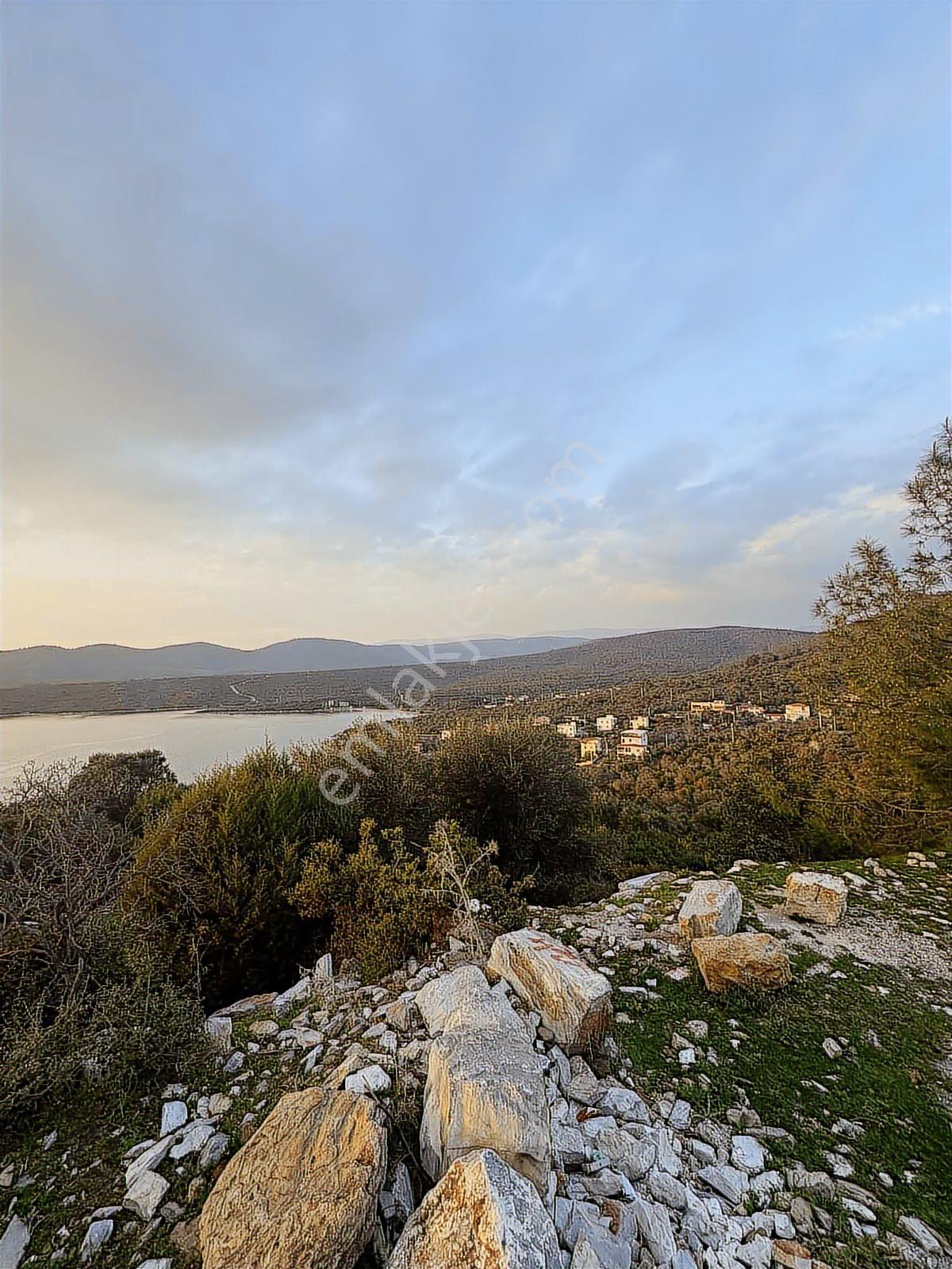 Kıyıkışlacık Zeytinlikuyu Papaz Koyunda Denize 240 Metre - Görsel 14