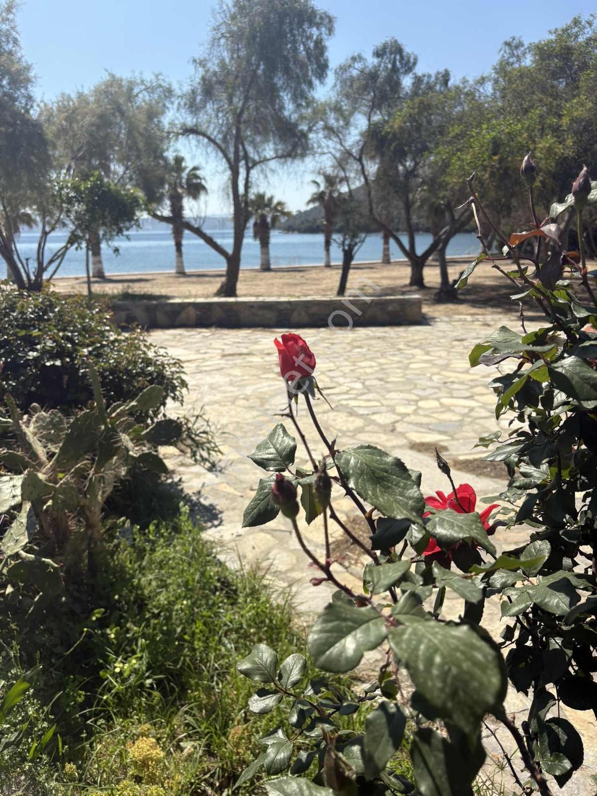 Kıyıkışlacık Denize Sıfır Gülümkıyı Tatil Sitesinde Masrafsız - Görsel 7