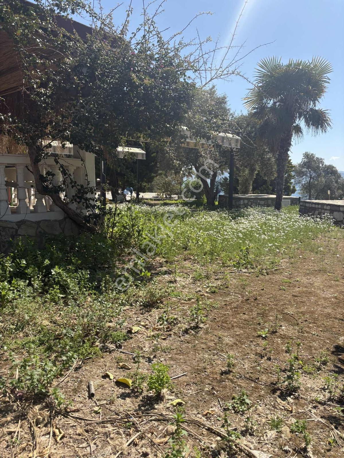Kıyıkışlacık Denize Sıfır Gülümkıyı Tatil Sitesinde Masrafsız - Görsel 12
