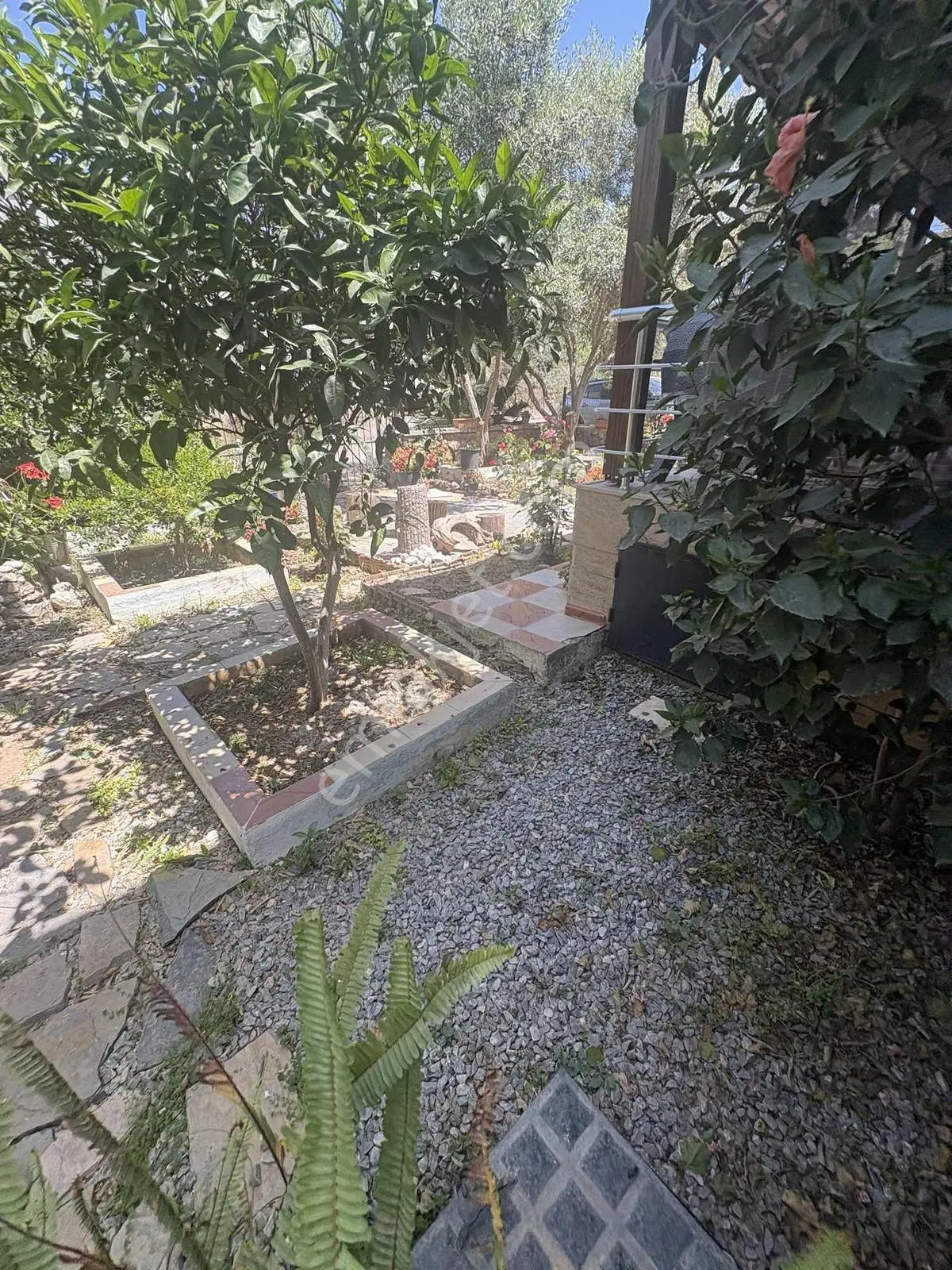 Kıyıkışlacık Zeytinlikuyu Plaja 200 Metre..müstakil Bahçeli - Görsel 6