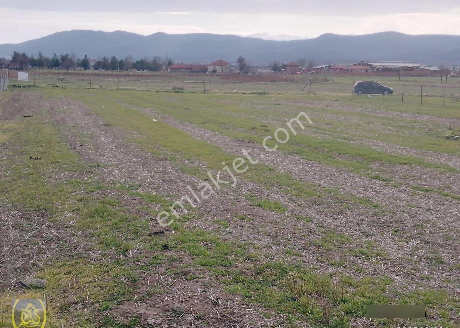 Acıpayam Yassıhöyük De Geleceğe Yatırımlık Köyiçi Satılık Tarla - Görsel 8
