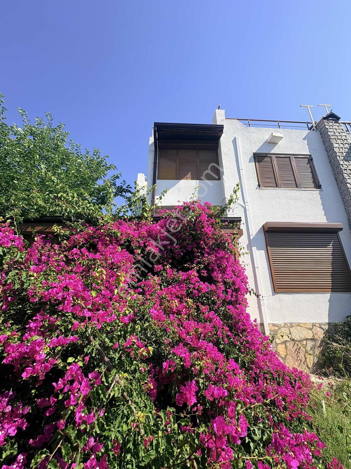 Kıyıkışlacık Zeytinlikuyu Tepeköy Tatil Sitesinde Ön Cephede - Görsel 9