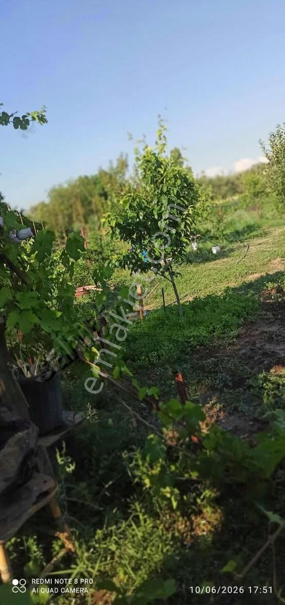 Coşkun Emlaktan Çıtak Köyünde Muhteşem Hobi Bahçesi - Görsel 3