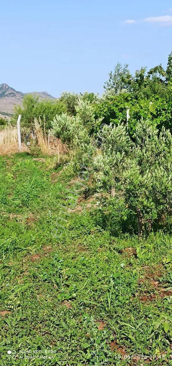 Coşkun Emlaktan Çıtak Köyünde Muhteşem Hobi Bahçesi - Görsel 8