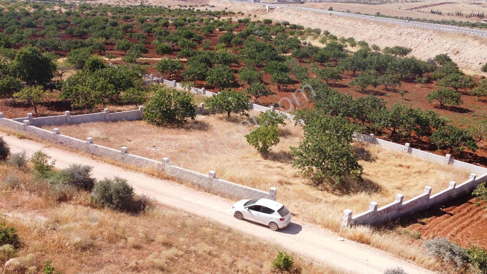 Barondan Taşlıca 960 M2 Bağ Evlik Arazi - Görsel 3