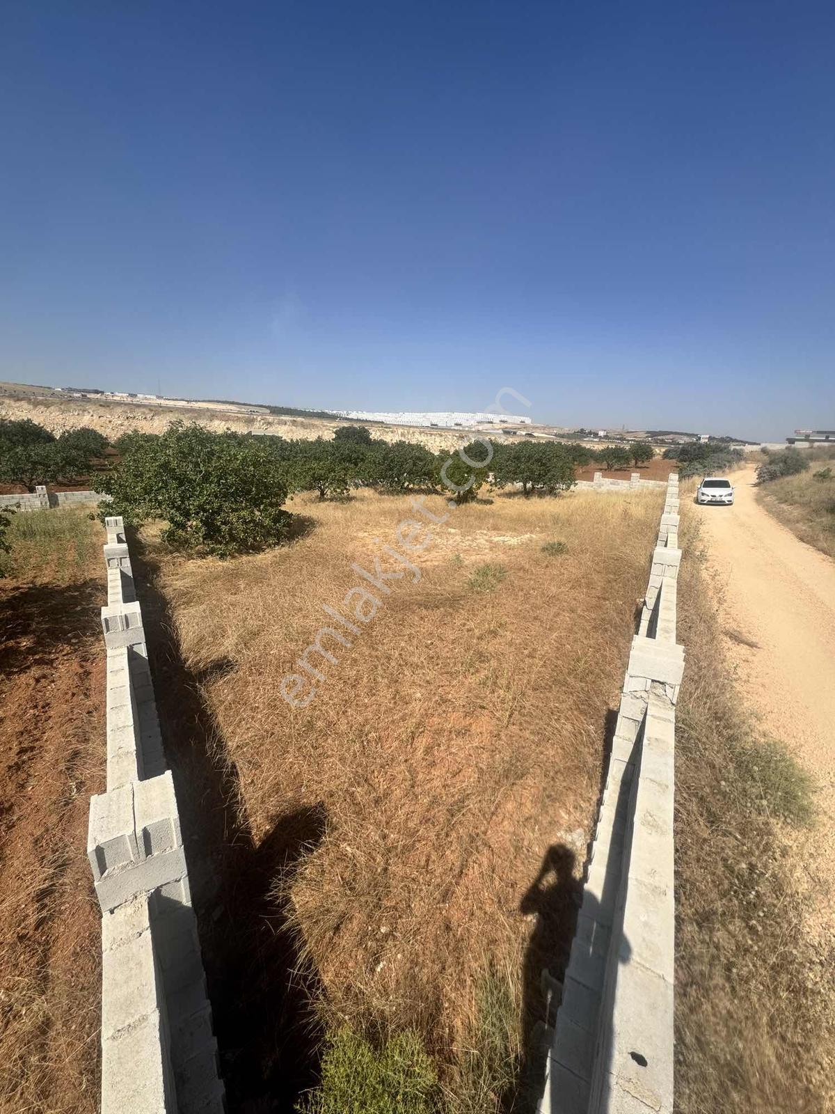 Barondan Taşlıca 960 M2 Bağ Evlik Arazi - Görsel 9
