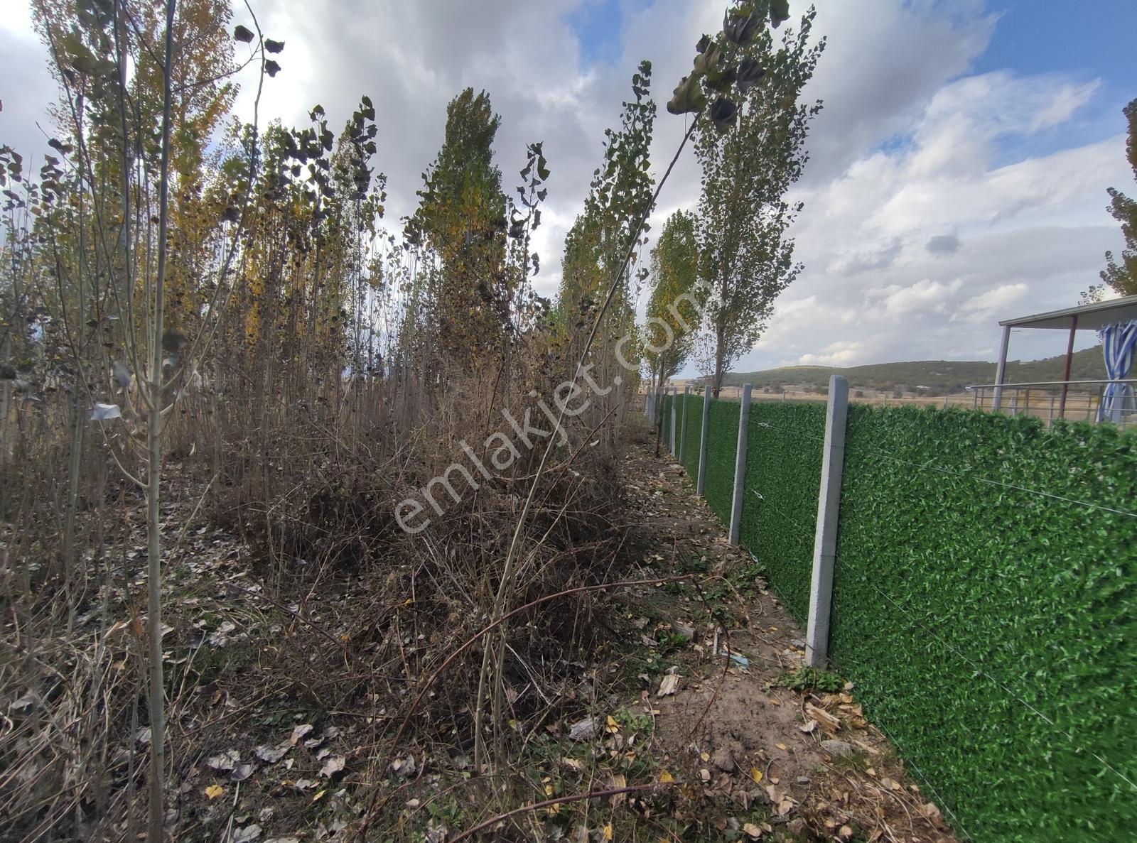 Özpınar,dan Kanal Kıyısı Yolu,suyu Olan Bahçe İçin Tarla 419 M2 - Görsel 19