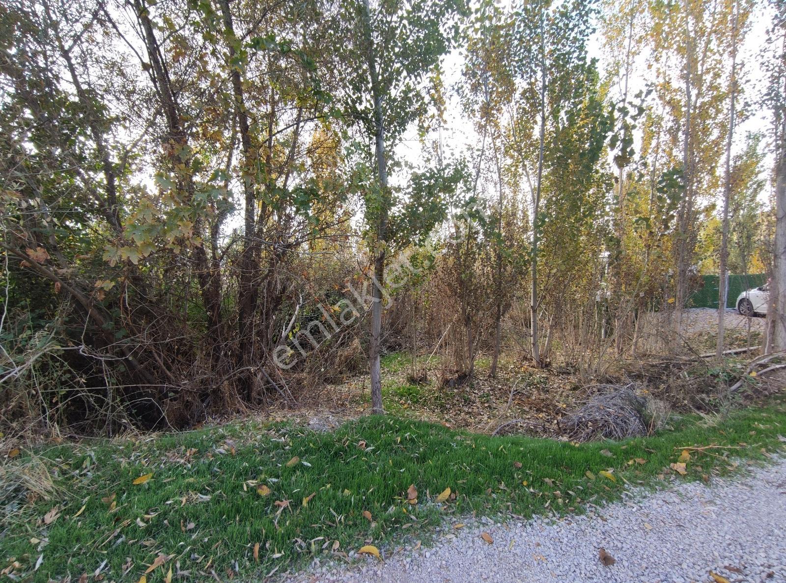 Özpınar,dan Kanal Kıyısı Yolu,suyu Olan Bahçe İçin Tarla 419 M2 - Görsel 16