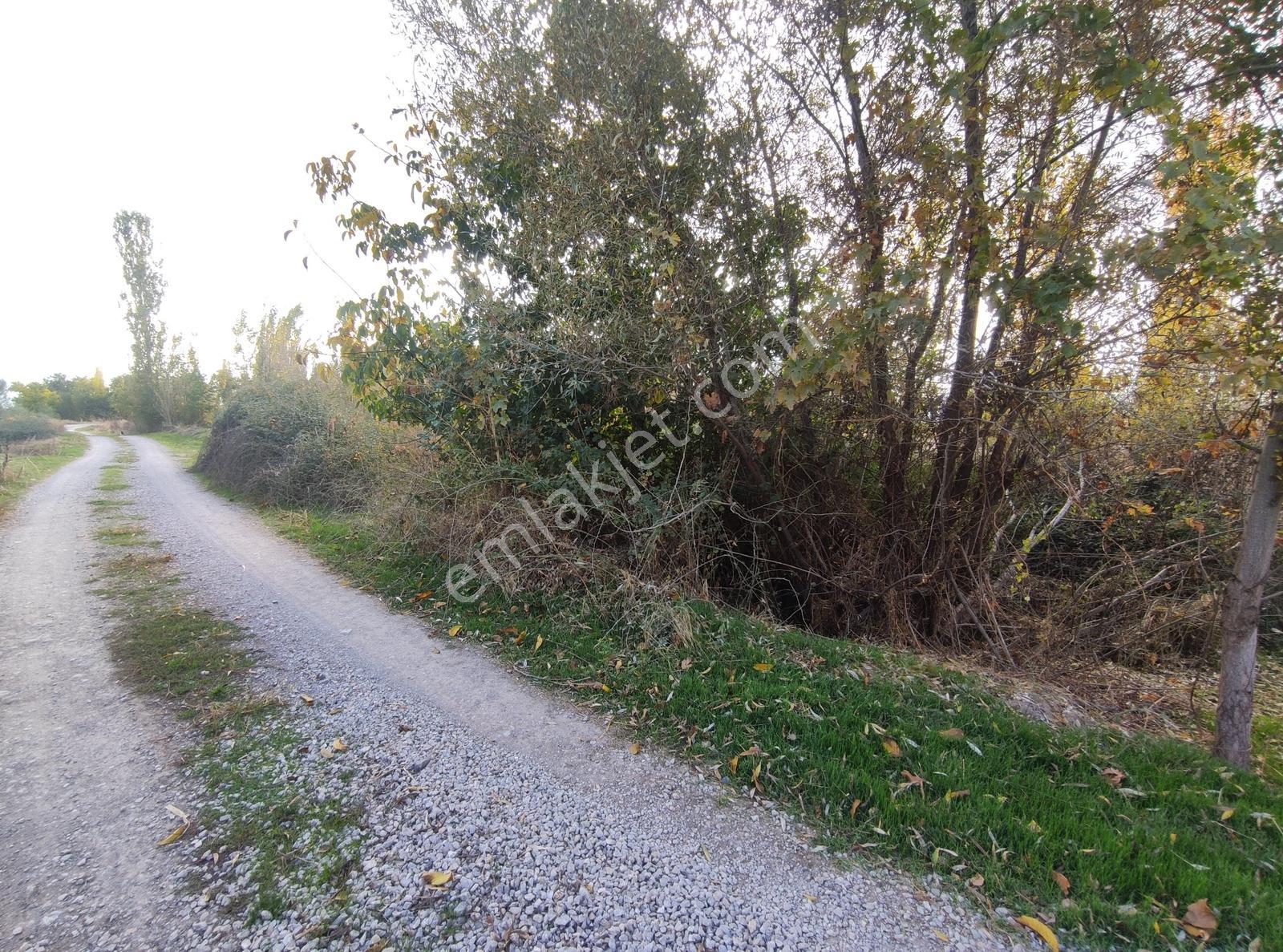 Özpınar,dan Kanal Kıyısı Yolu,suyu Olan Bahçe İçin Tarla 419 M2 - Görsel 6