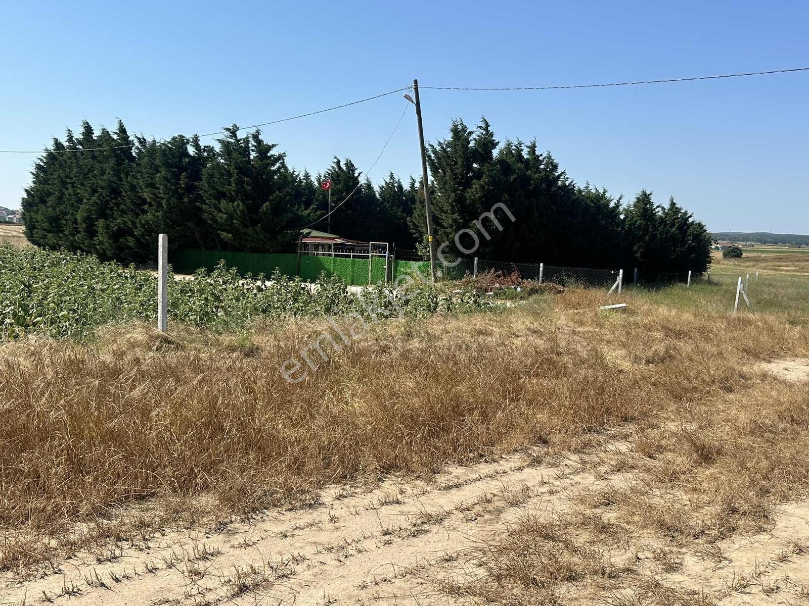 Saray Merkezde Sanayi Bölgesinde Tarladan Hisse Araç Takaslı - Görsel 17