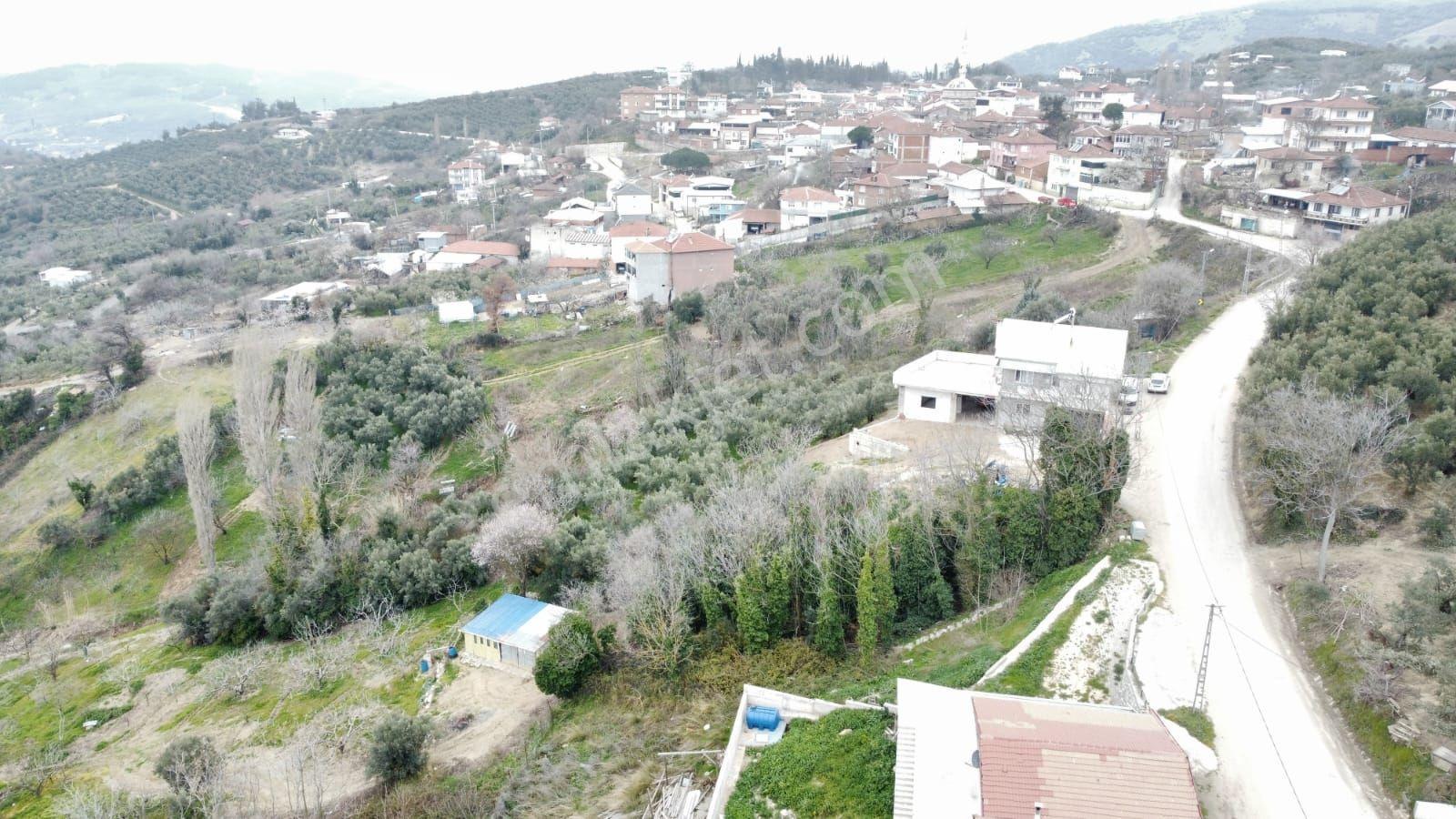 Köy İçi Arsa - Görsel 13