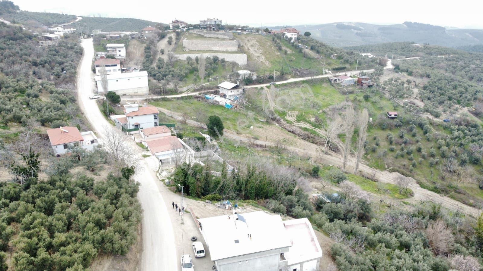 Köy İçi Arsa - Görsel 4