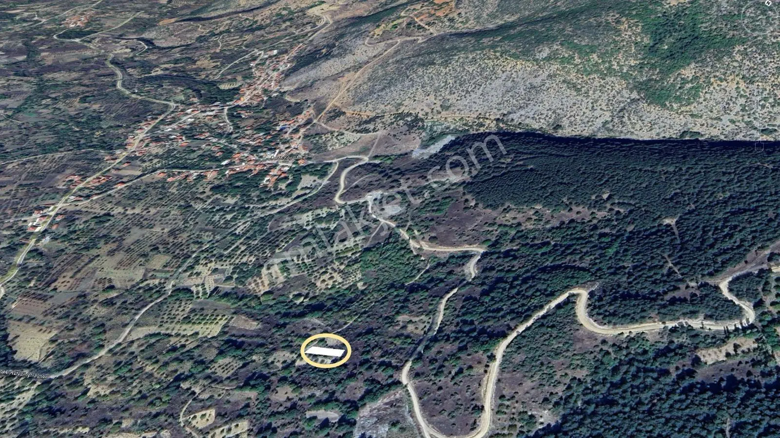Durak Köy'de Merkeze Yakın Tarla - Görsel 2
