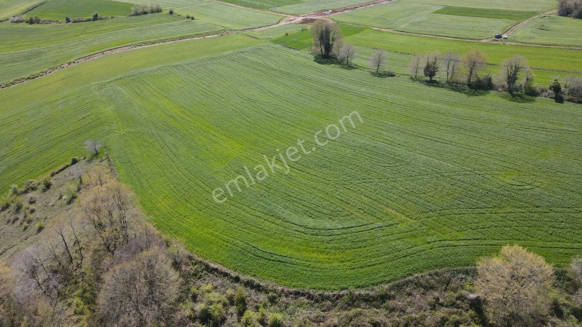 Bafra Doğankaya'da Satılık 105.260 M² Tarla Akgün Kurumsaldan - Görsel 38