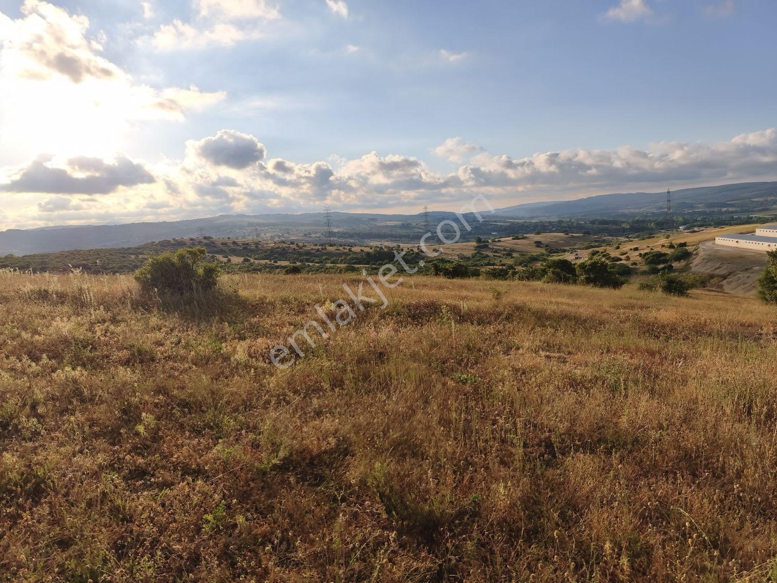 Kandıra Şerefsungurda Köye Yakın 2 950 M2 0.05 İmarlı Müstakil T - Görsel 14