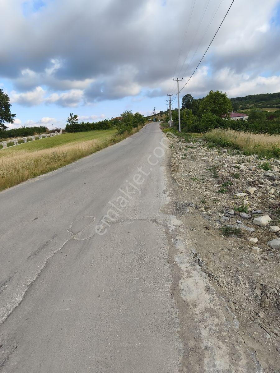 Kandıra Şerefsungurda Köye Yakın 2 950 M2 0.05 İmarlı Müstakil T - Görsel 10