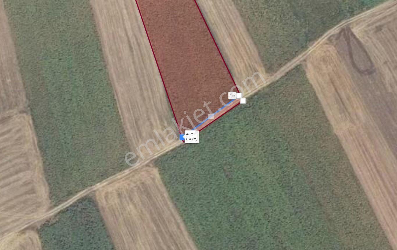 Yenişehir Günece'de Yol İzni Alınmış 2.689 M² Yatırımlık Satılık Arsa!