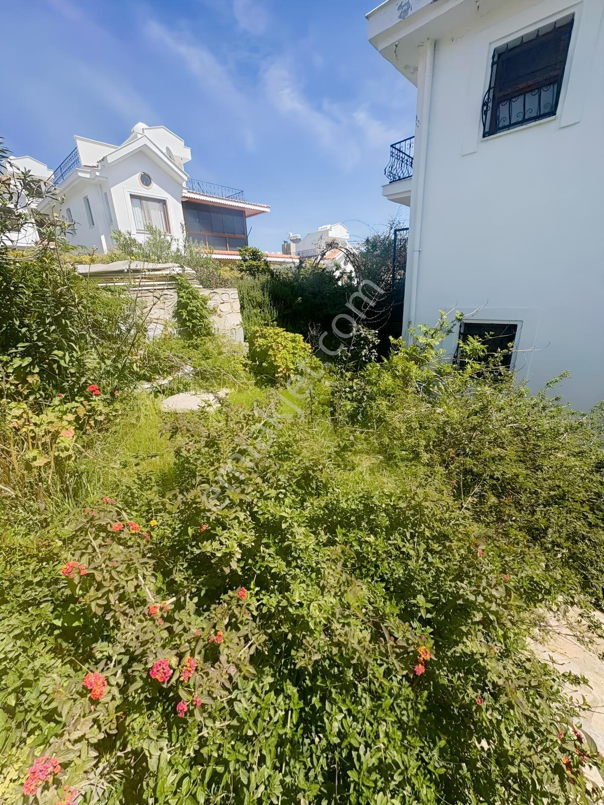 Milas Kıyıkışlacık Pembegül Tatil Sitesinde Dubleks - Görsel 2