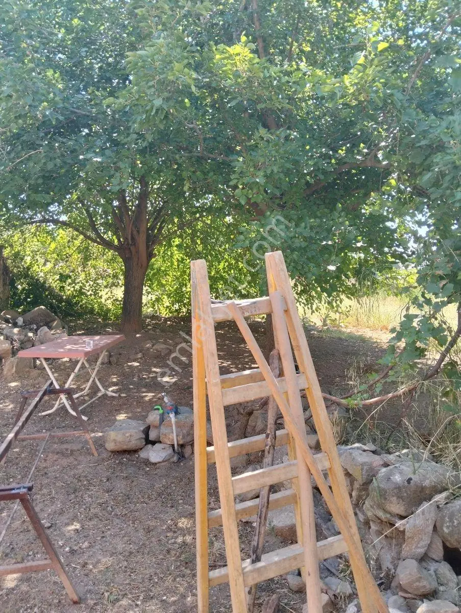 Aydın Efeler Kızılcaköy Satılık Hisseli Köyiçi Arsa - Görsel 3