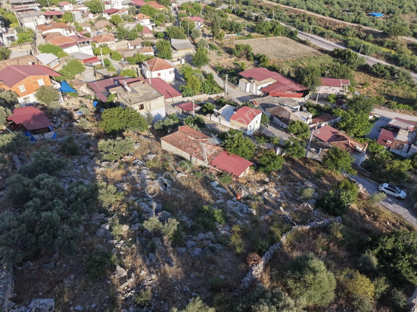 Doğadan Milas Avşarda Köyiçi İmarlı 1.825 M2 Ev Ve Arsası - Görsel 21