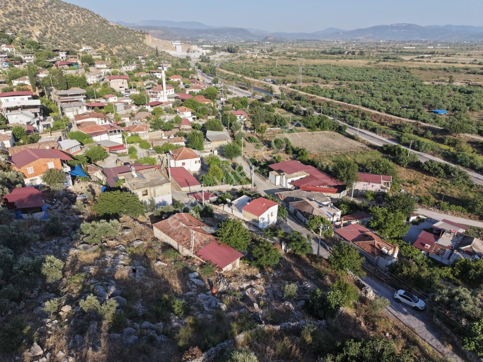 Doğadan Milas Avşarda Köyiçi İmarlı 1.825 M2 Ev Ve Arsası - Görsel 12